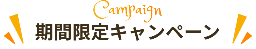 期間限定キャンペーン